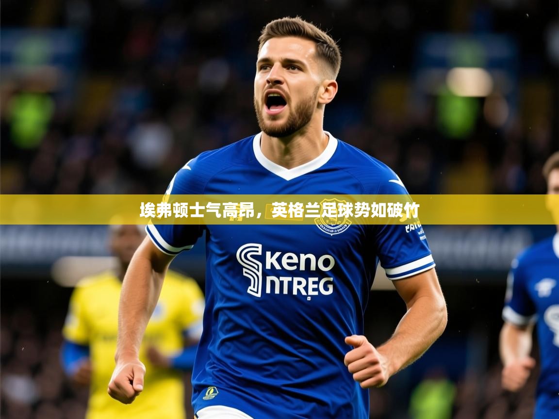2026米兰体育平台埃弗顿士气高昂，英格兰足球势如破竹  第1张