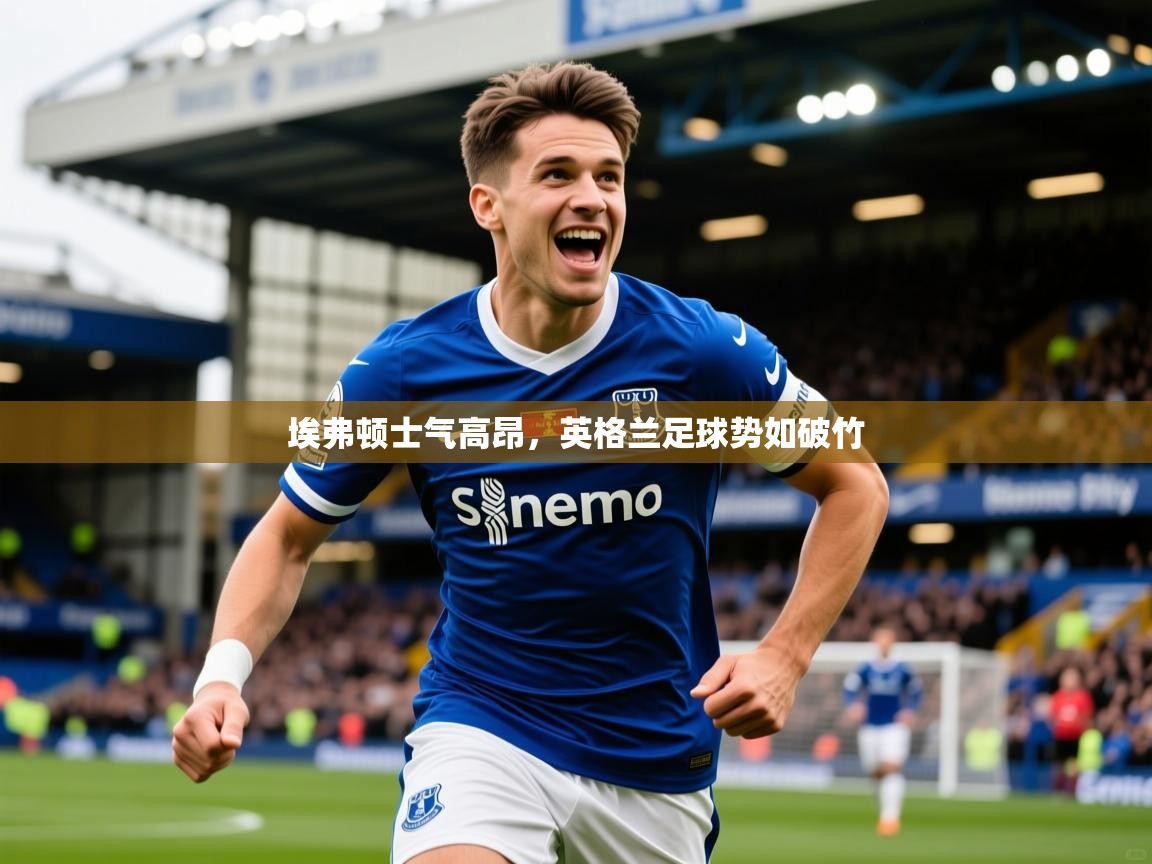 2026米兰体育平台埃弗顿士气高昂，英格兰足球势如破竹  第3张